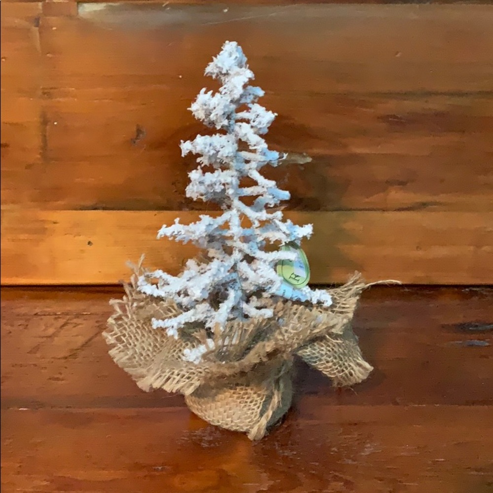 🌲 NWOT 11” Snow Twig Tree with Burlap